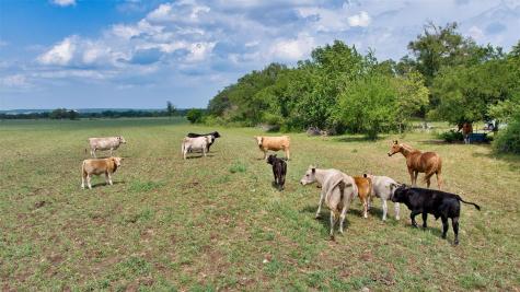 2700 County Road 245 Florence TX 76527