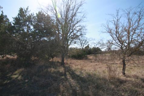 105 Daisy Lane Dripping Springs TX 78620