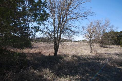 105 Daisy Lane Dripping Springs TX 78620