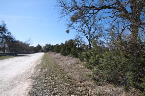 105 Daisy Lane Dripping Springs TX 78620