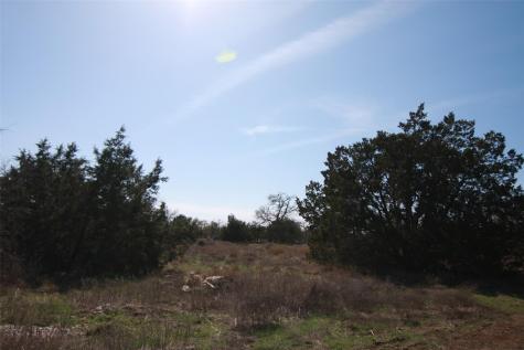 105 Daisy Lane Dripping Springs TX 78620