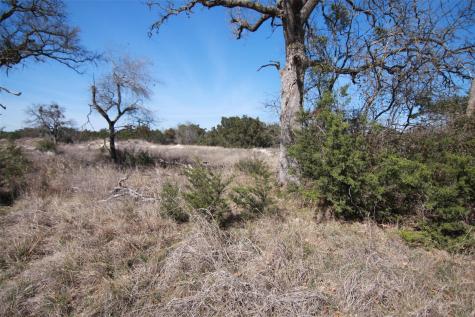 105 Daisy Lane Dripping Springs TX 78620