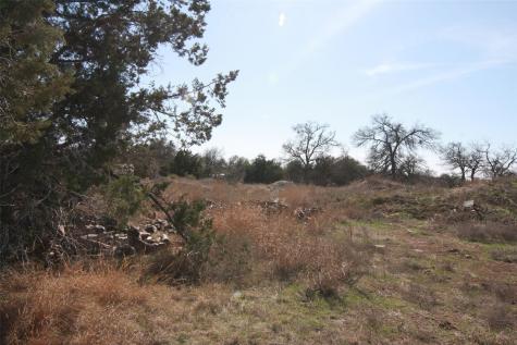 105 Daisy Lane Dripping Springs TX 78620
