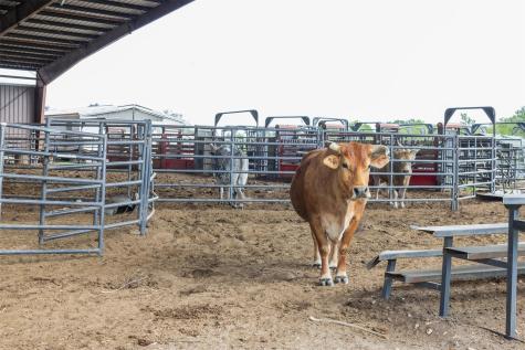 8519 State Park Road Lockhart TX 78644