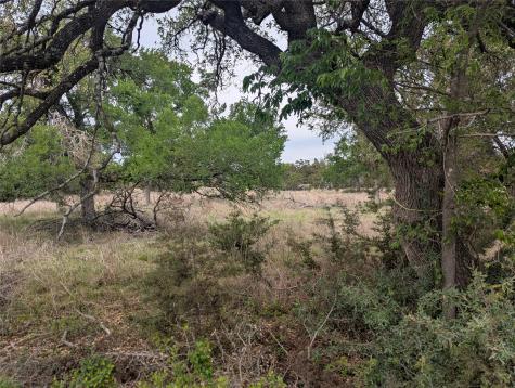 Lot 3 Bell Springs Road Dripping Springs TX 78620