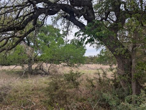 Lot 3 Bell Springs Road Dripping Springs TX 78620