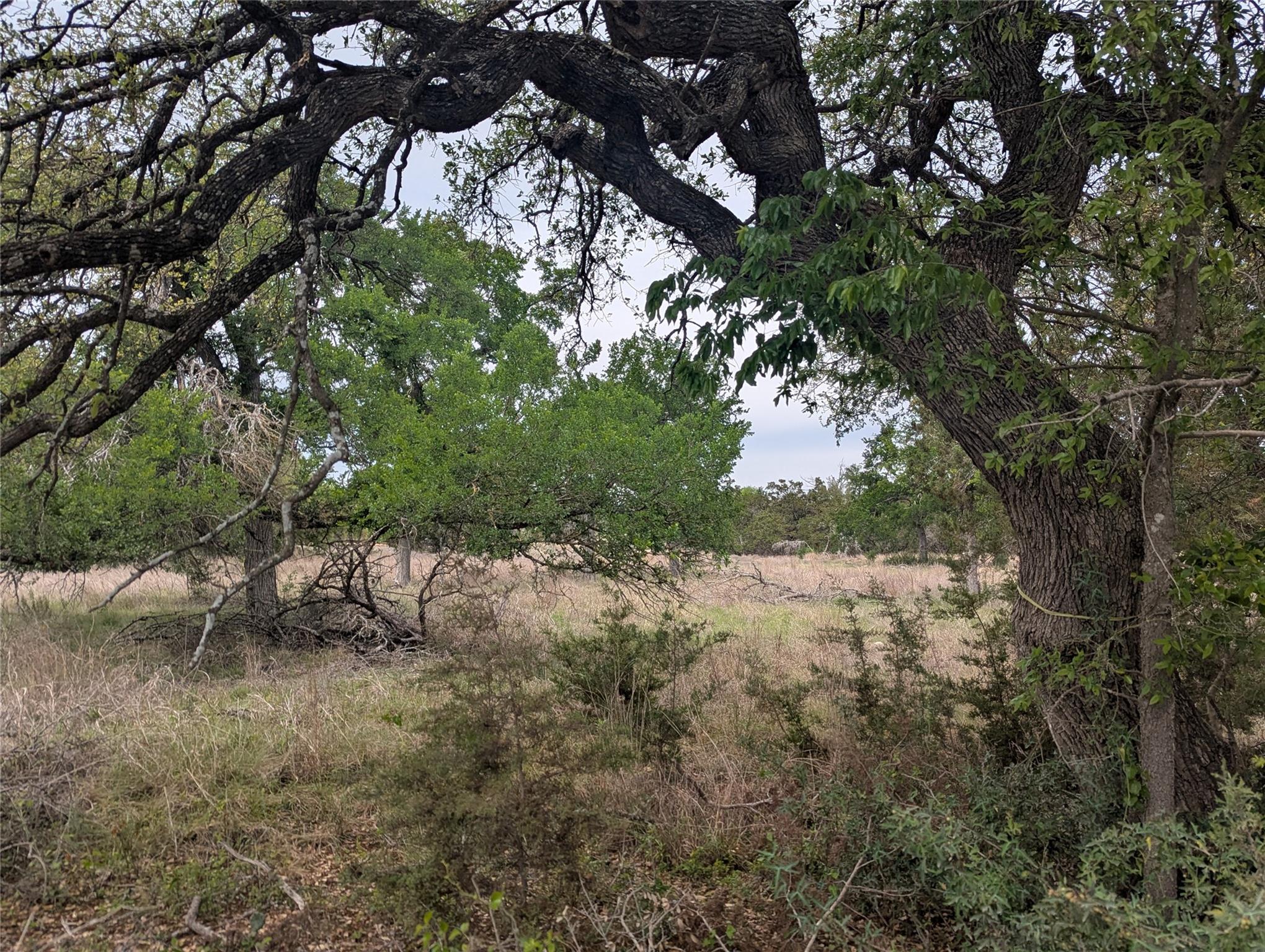 Lot 3 Bell Springs Road Dripping Springs TX 78620