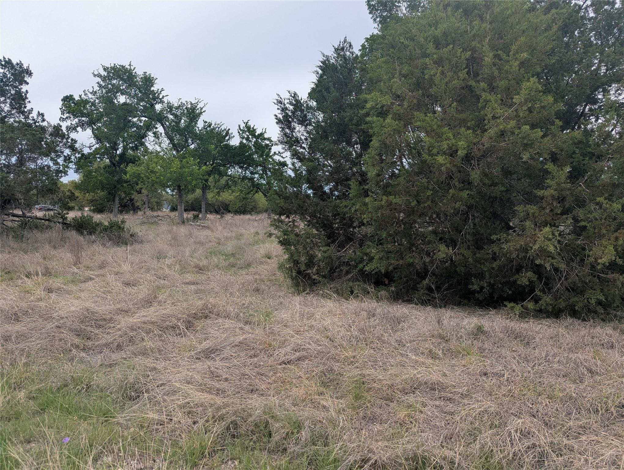 Lot 3 Bell Springs Road Dripping Springs TX 78620