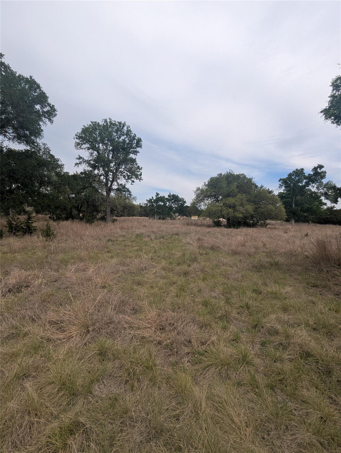 Lot 3 Bell Springs Road Dripping Springs TX 78620