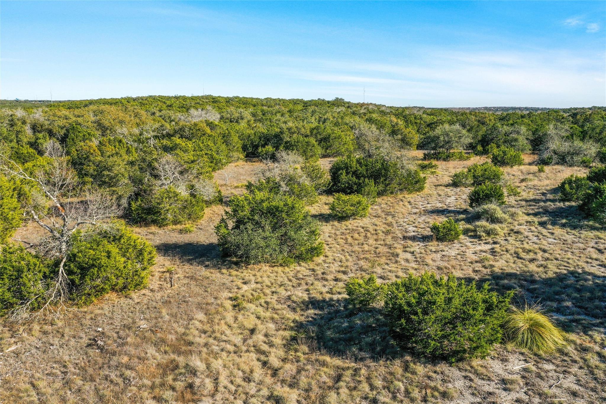 10107 Davy Crockett Drive Dripping Springs TX 78620