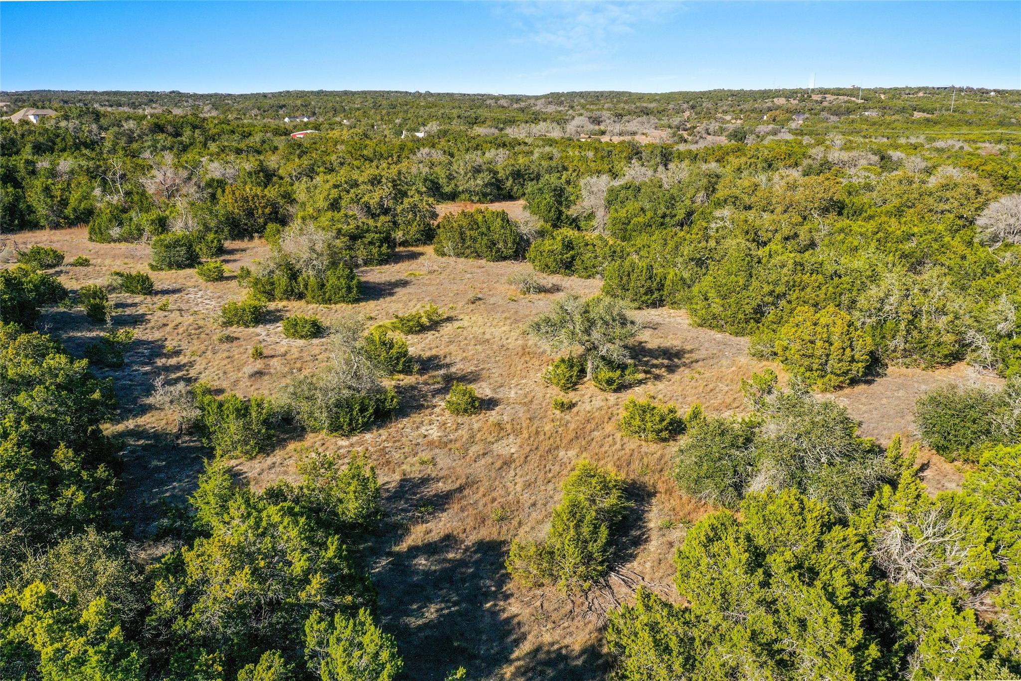 10107 Davy Crockett Drive Dripping Springs TX 78620