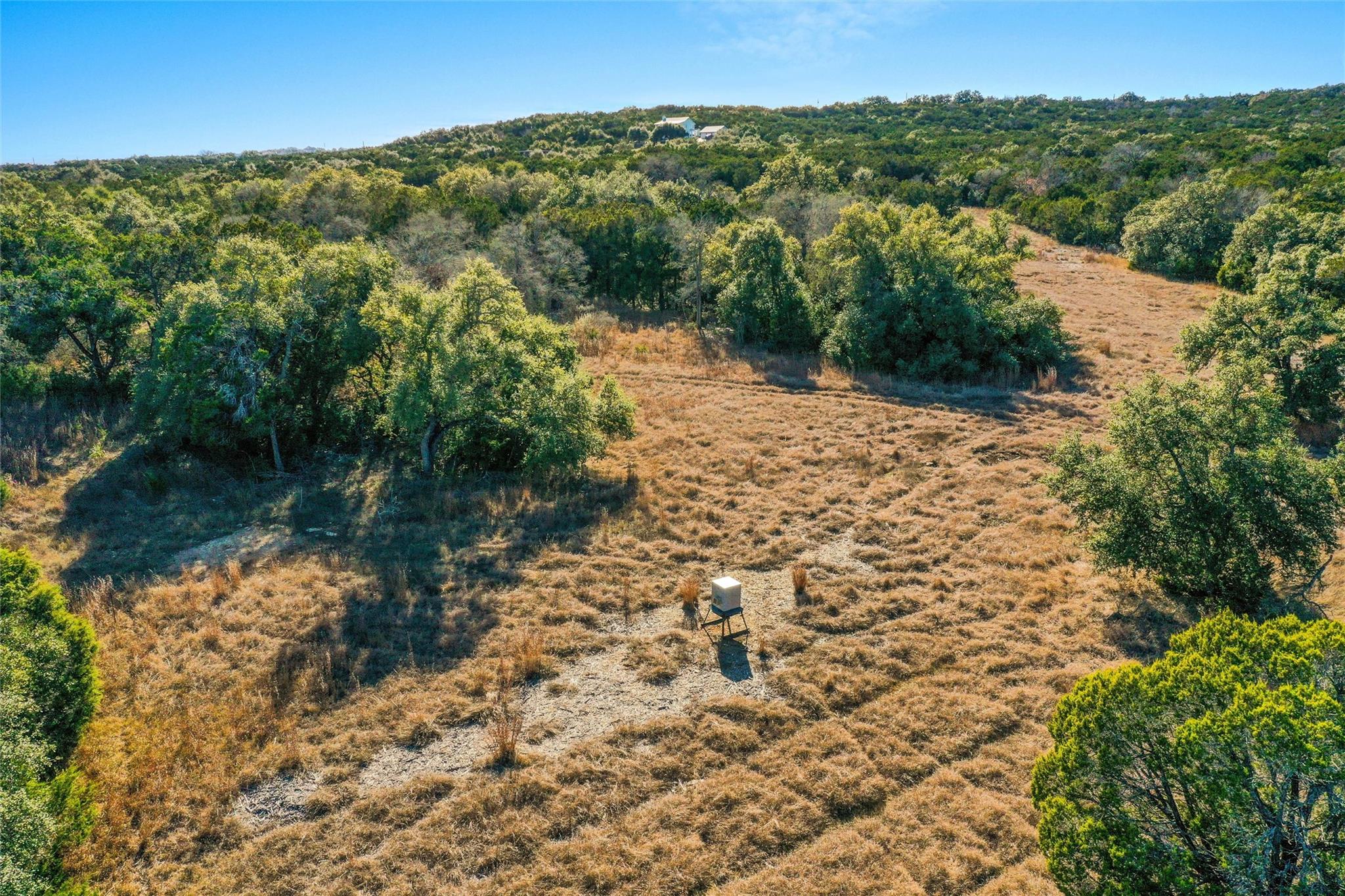 10107 Davy Crockett Drive Dripping Springs TX 78620