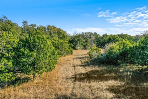 10107 Davy Crockett Drive Dripping Springs TX 78620