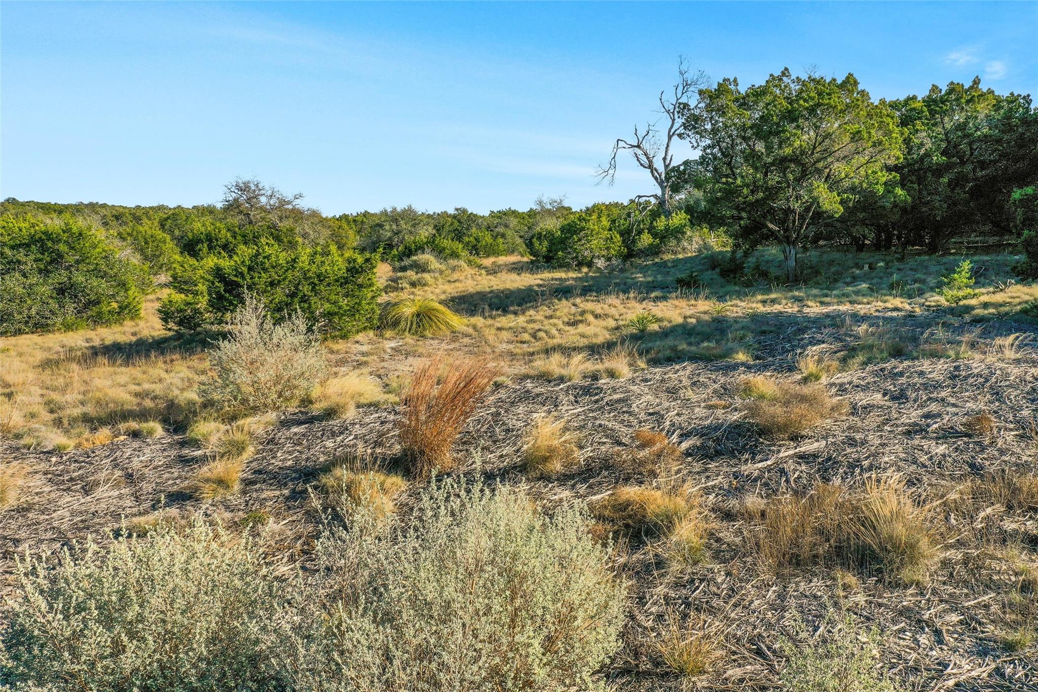 10107 Davy Crockett Drive Dripping Springs TX 78620