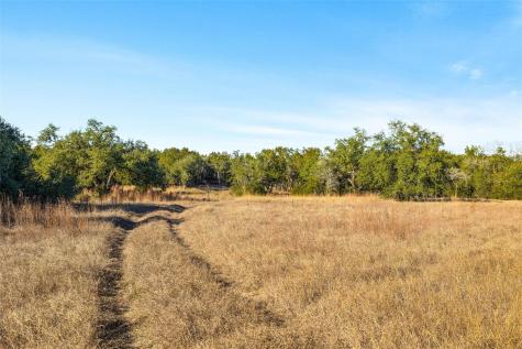 10107 Davy Crockett Drive Dripping Springs TX 78620