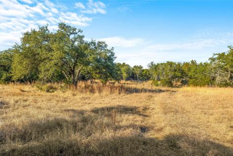 10107 Davy Crockett Drive Dripping Springs TX 78620