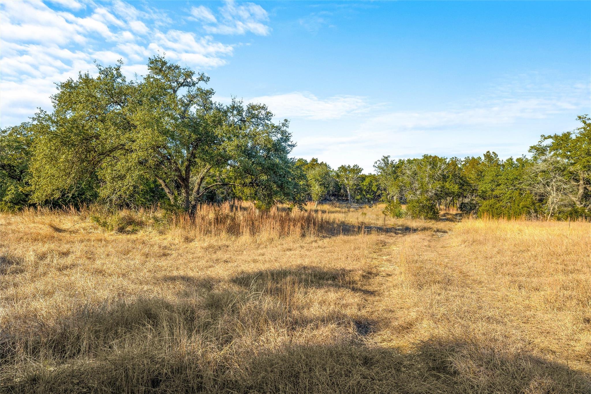 10107 Davy Crockett Drive Dripping Springs TX 78620