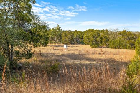 10107 Davy Crockett Drive Dripping Springs TX 78620