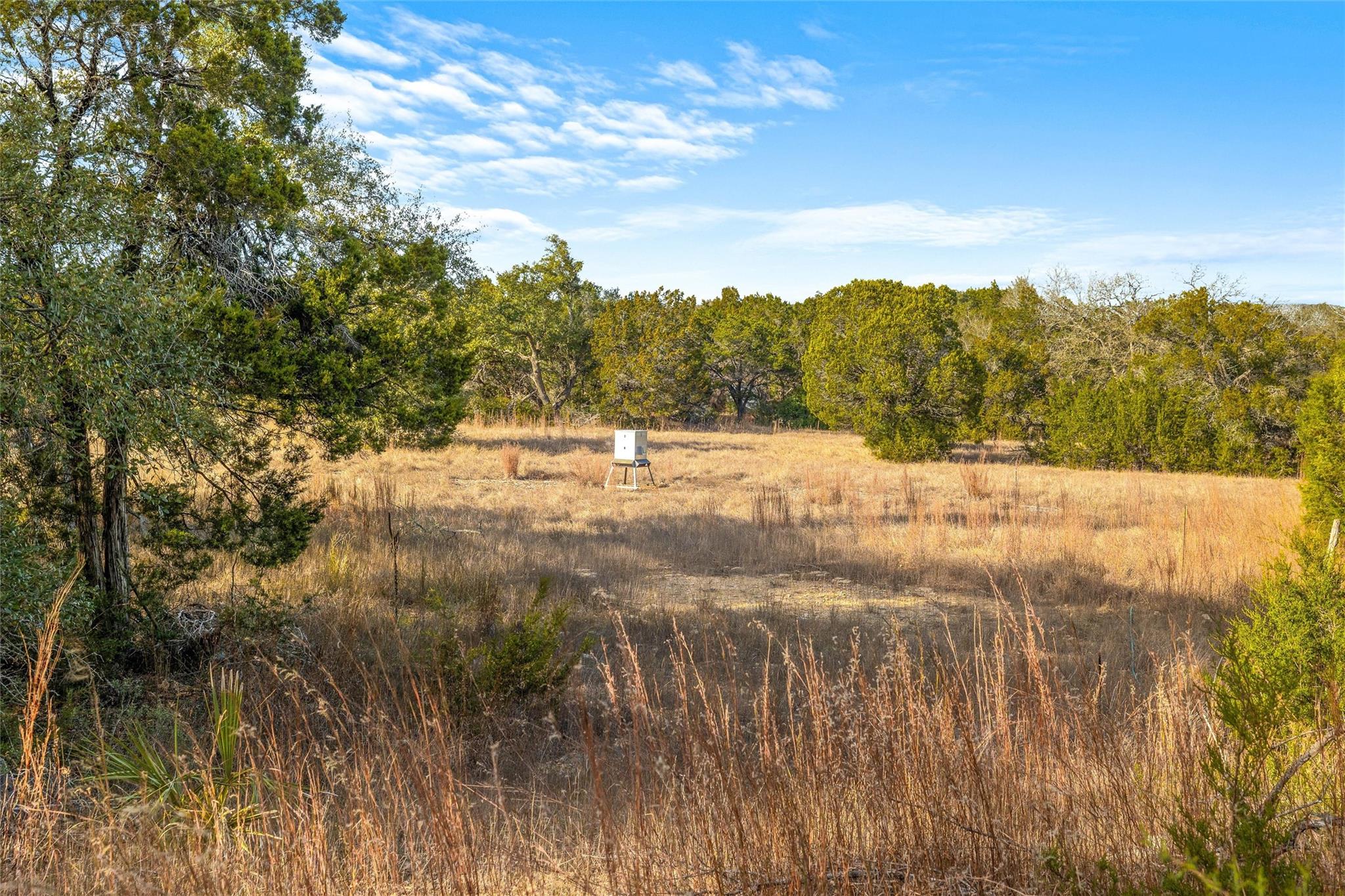 10107 Davy Crockett Drive Dripping Springs TX 78620