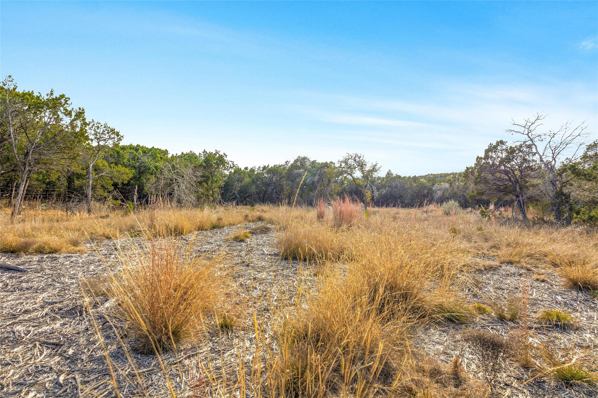 10107 Davy Crockett Drive Dripping Springs TX 78620