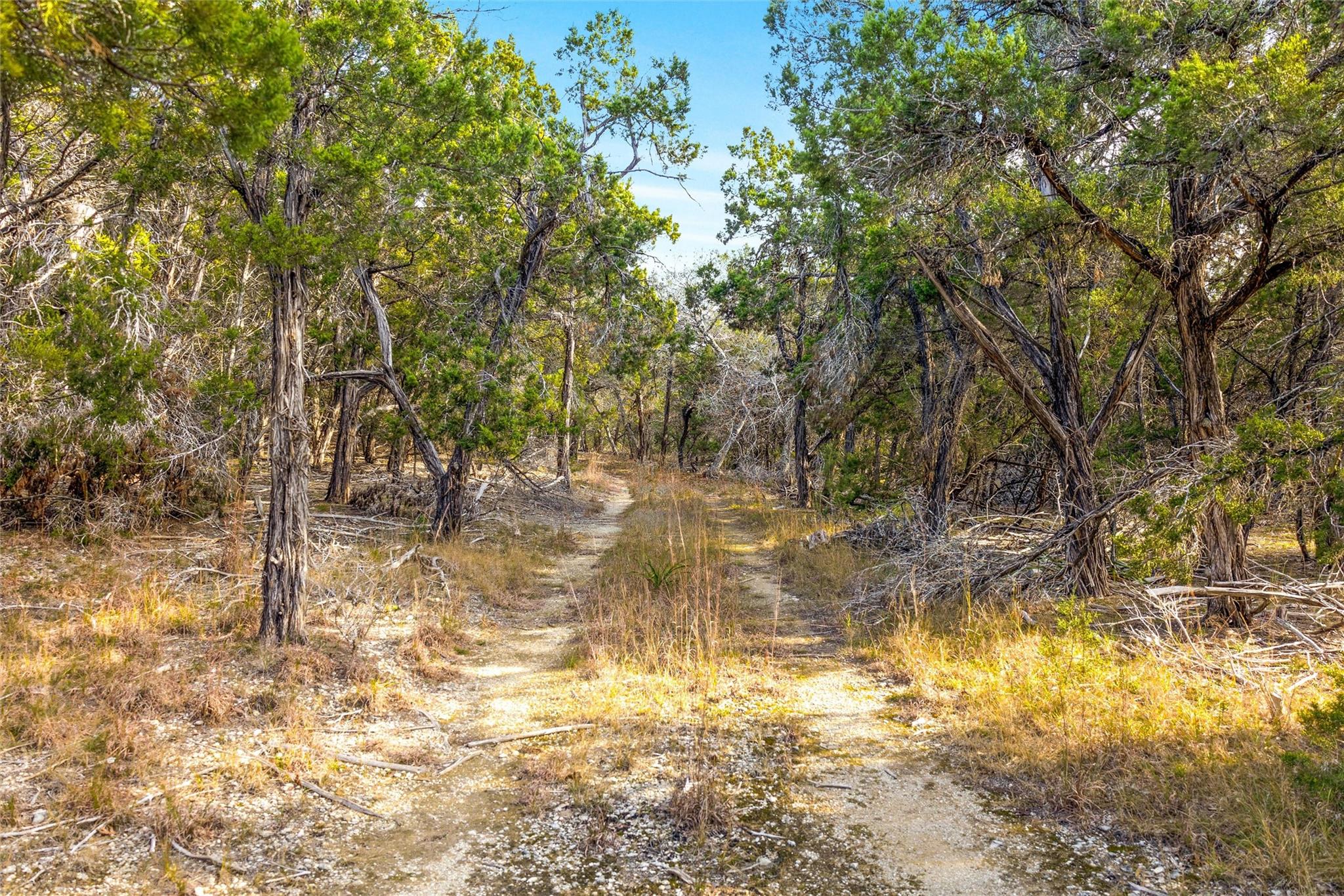 10107 Davy Crockett Drive Dripping Springs TX 78620
