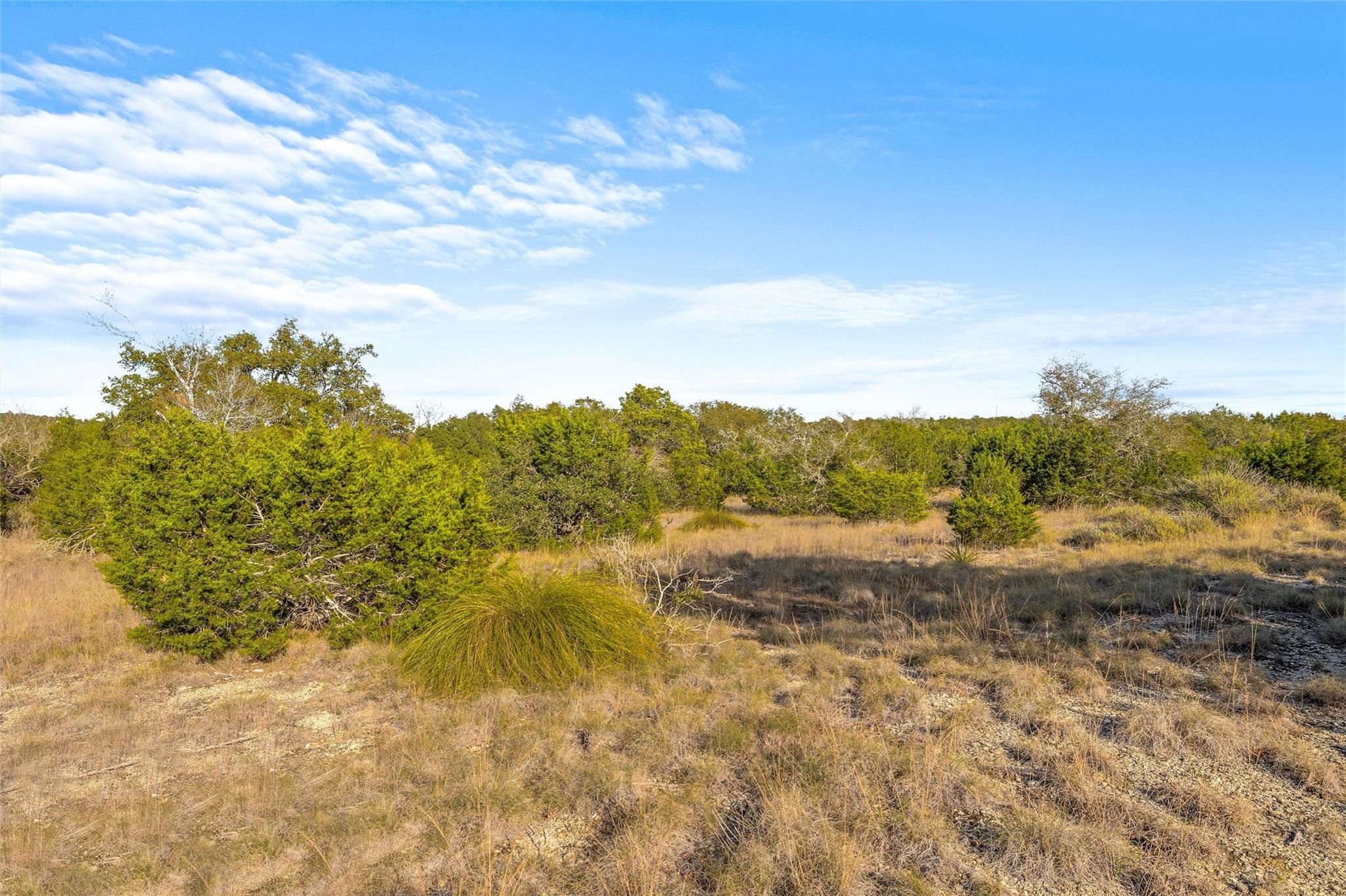 10107 Davy Crockett Drive Dripping Springs TX 78620