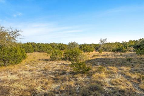10107 Davy Crockett Drive Dripping Springs TX 78620