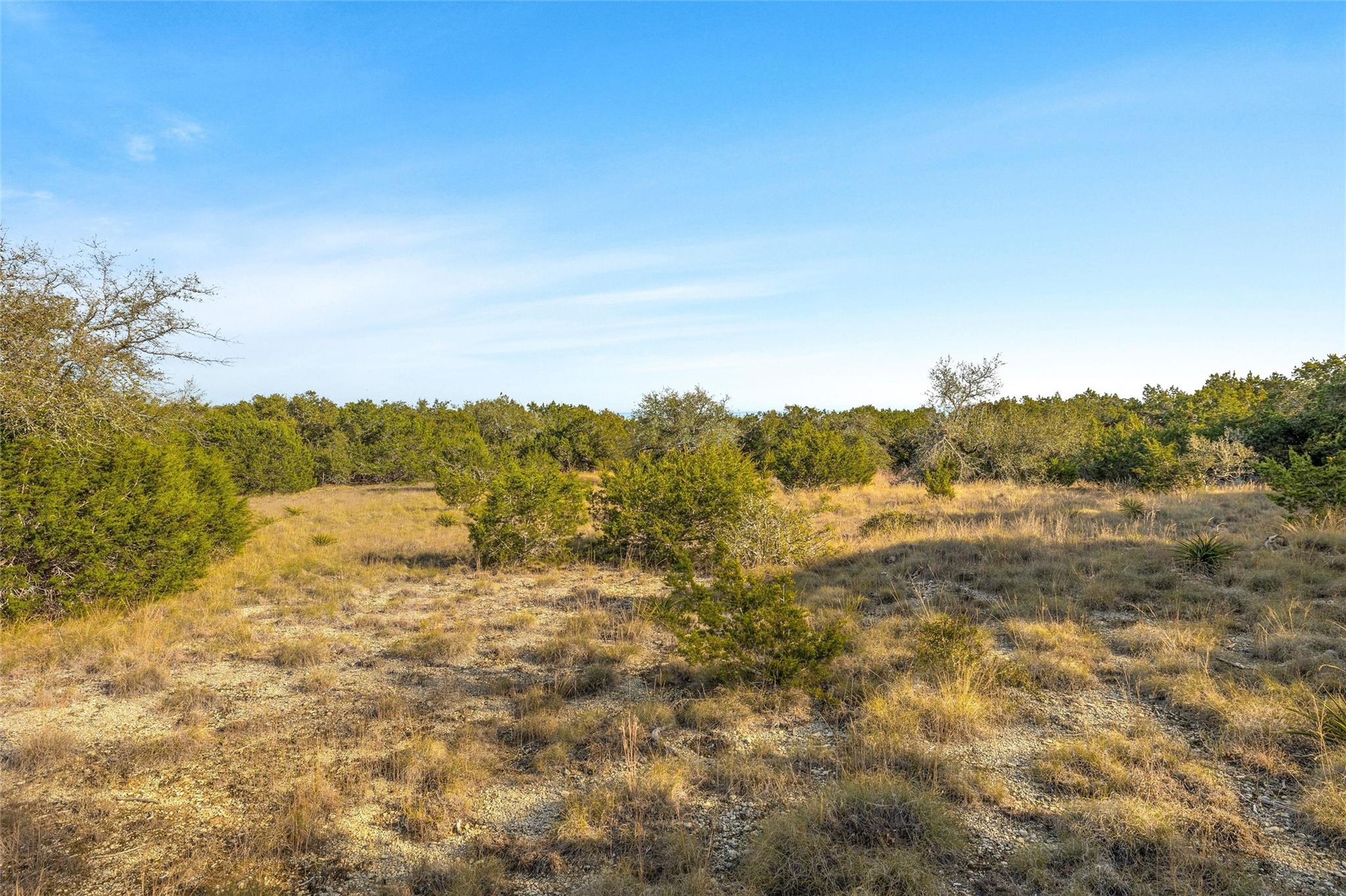 10107 Davy Crockett Drive Dripping Springs TX 78620