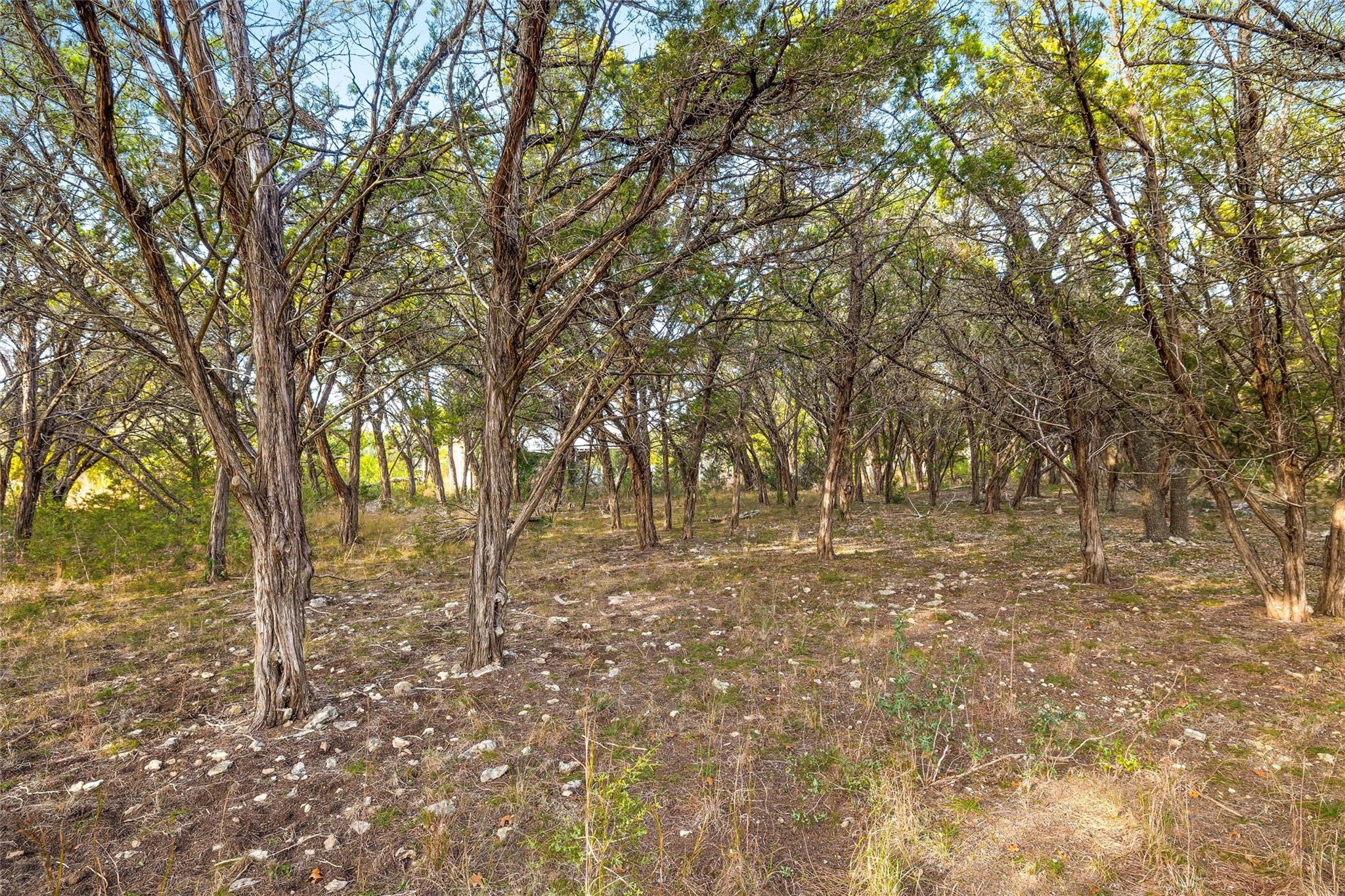 10107 Davy Crockett Drive Dripping Springs TX 78620