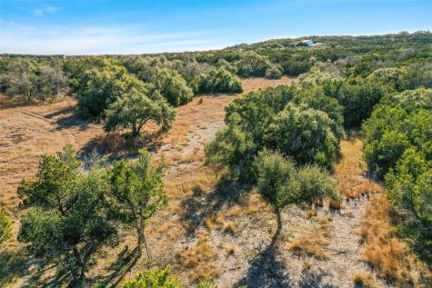 10107 Davy Crockett Drive Dripping Springs TX 78620