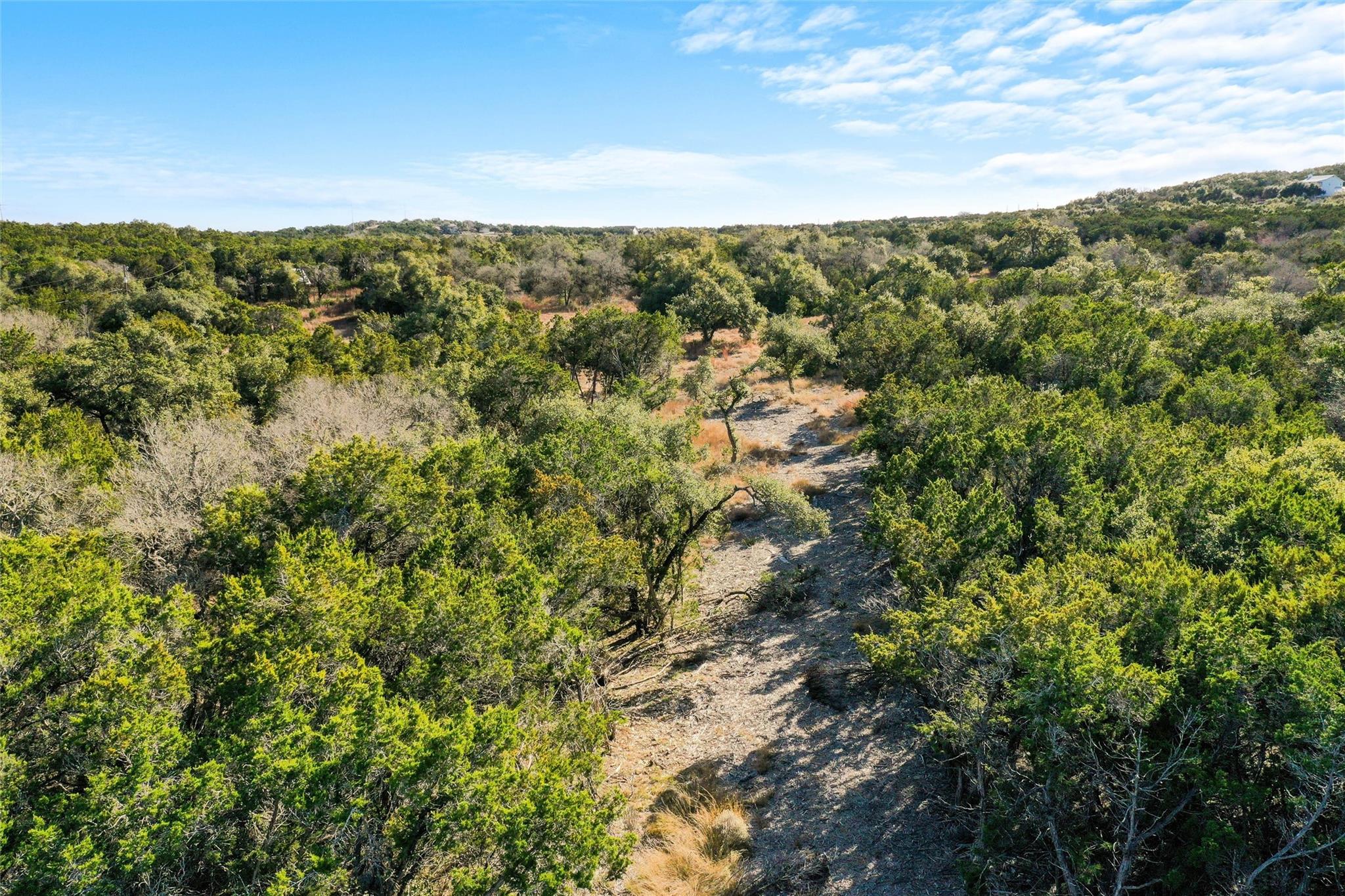 10107 Davy Crockett Drive Dripping Springs TX 78620