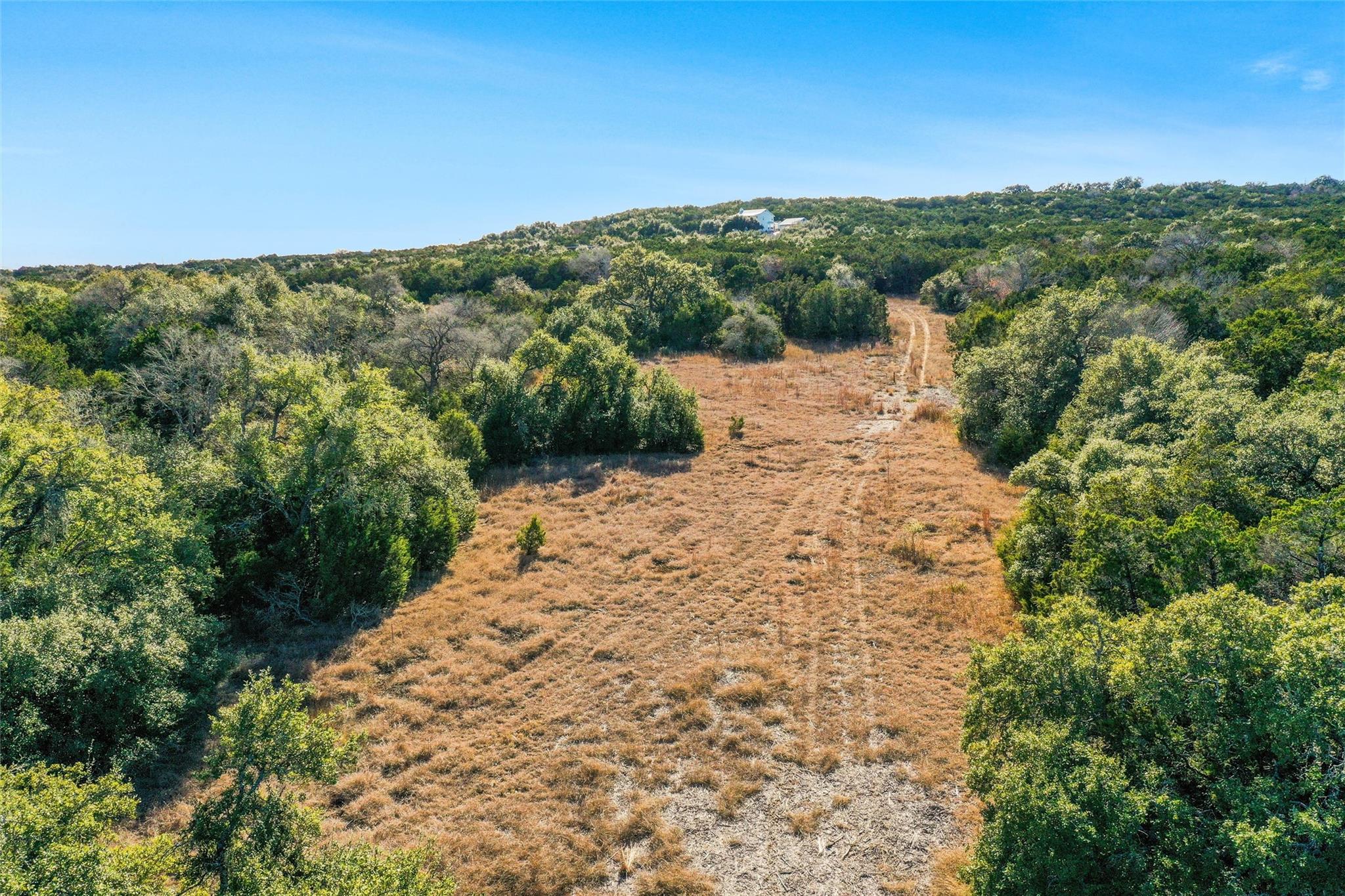 10107 Davy Crockett Drive Dripping Springs TX 78620