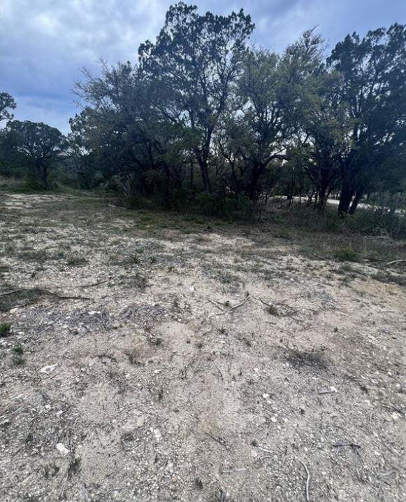 19705 Tyler Trail Leander TX 78645