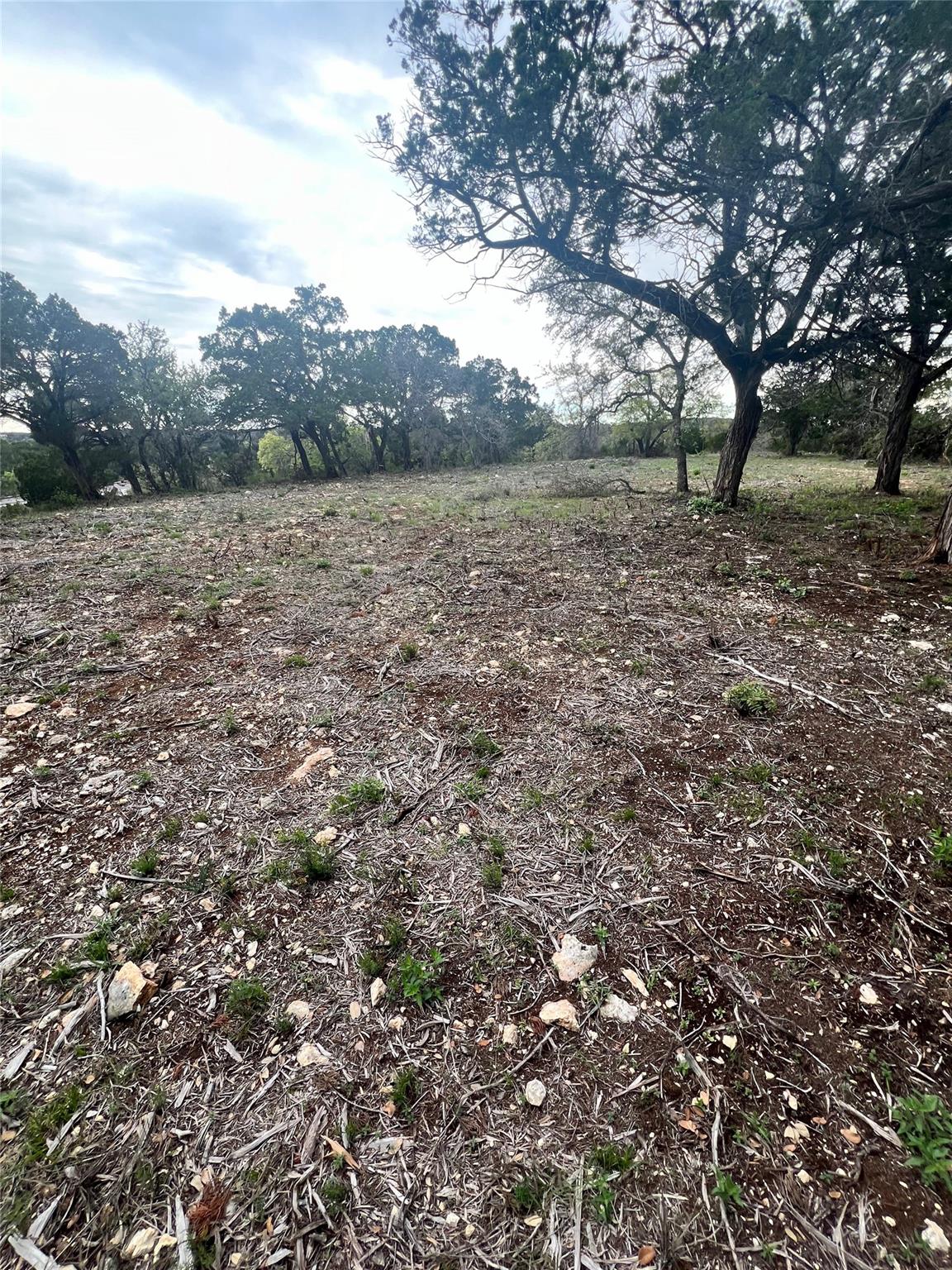 19705 Tyler Trail Leander TX 78645