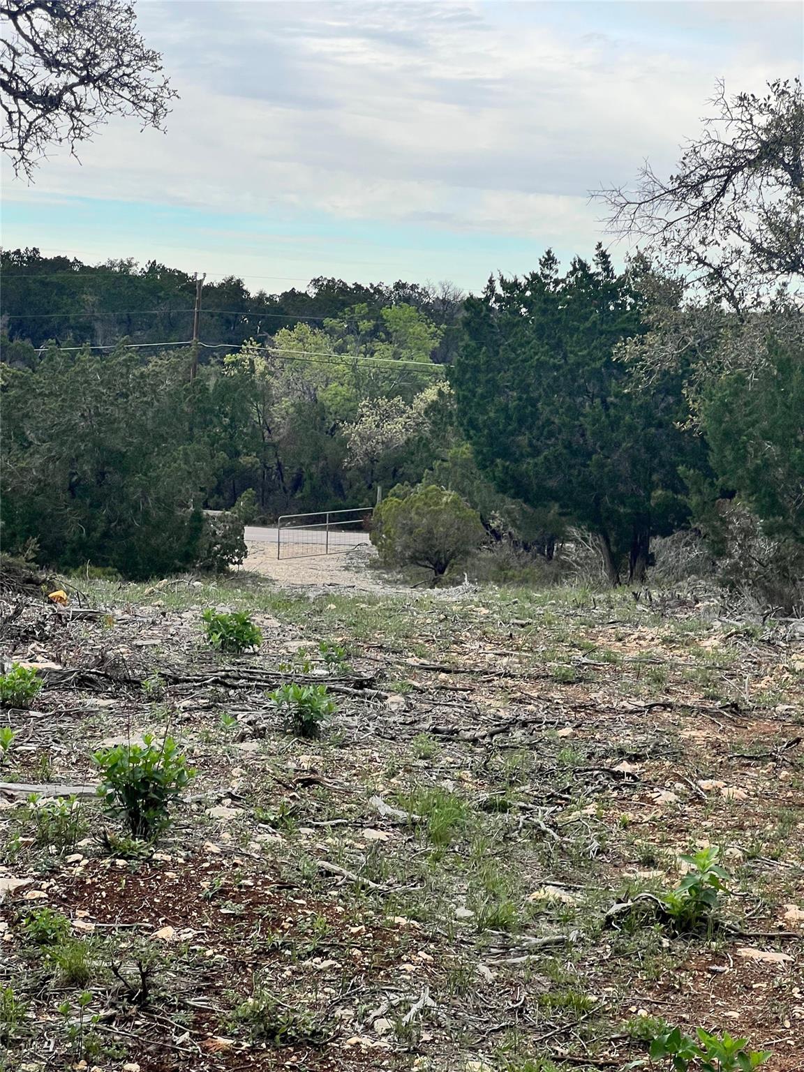 19705 Tyler Trail Leander TX 78645