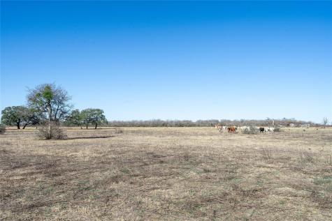Tbd Richards Drive Del Valle TX 78617