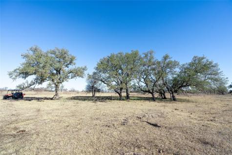 Tbd Richards Drive Del Valle TX 78617