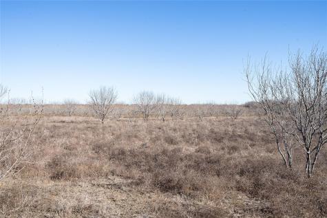 Tbd Richards Drive Del Valle TX 78617