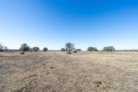 Tbd Richards Drive Del Valle TX 78617