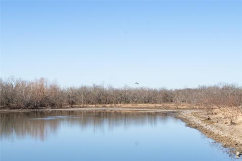 Tbd Richards Drive Del Valle TX 78617