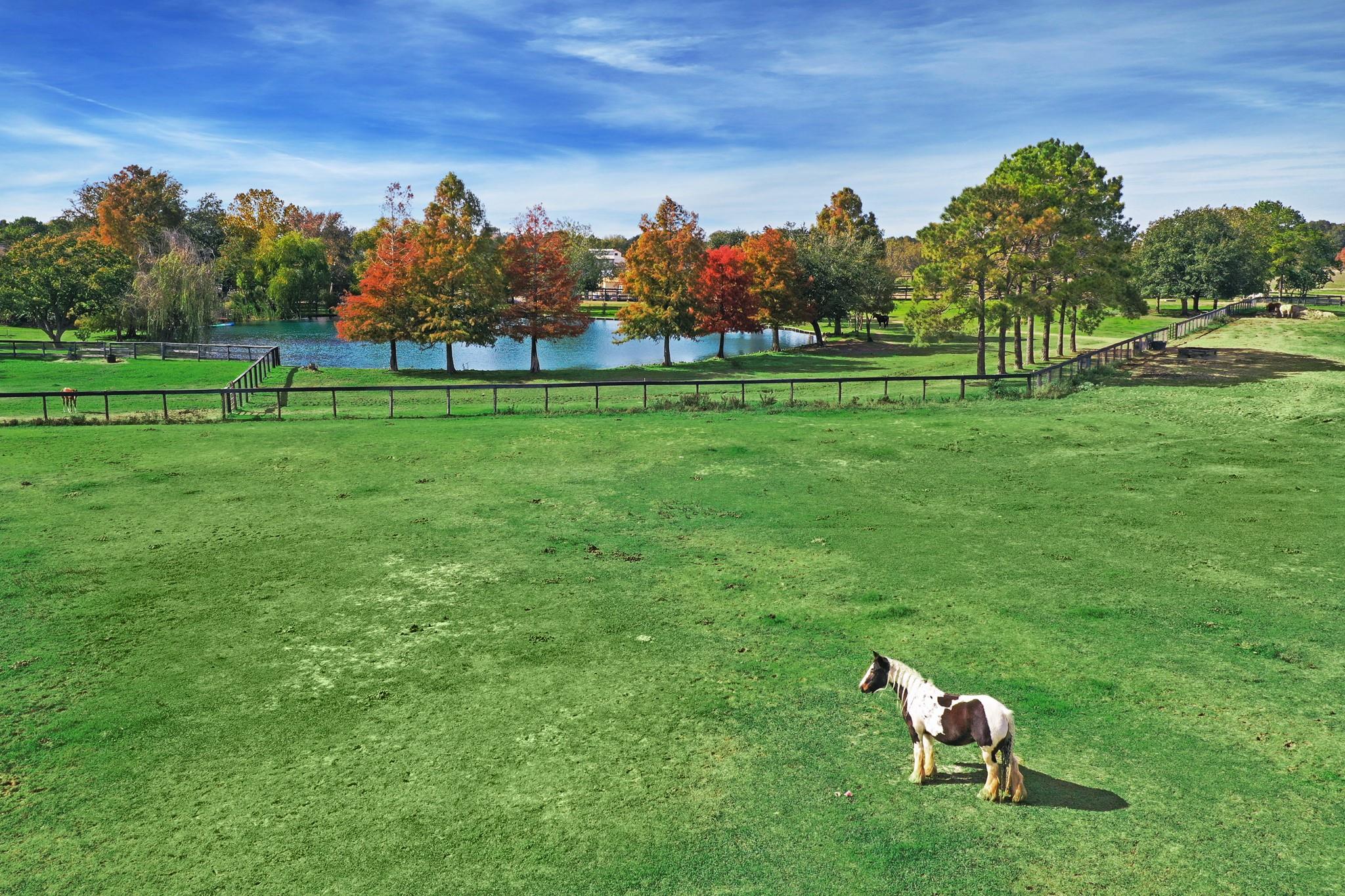 1834 Fm 1463 Road Katy TX 77494