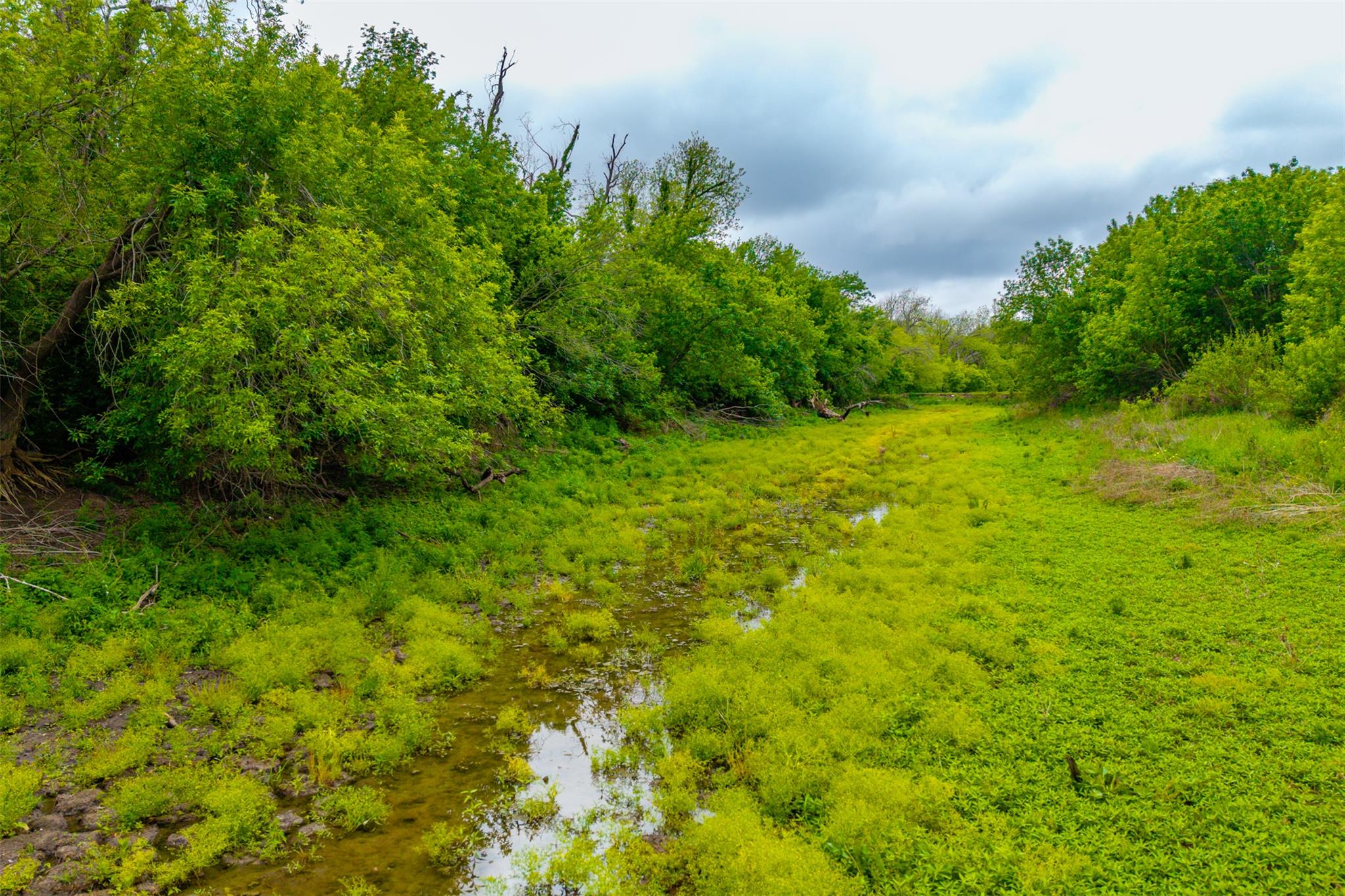 18.45 Acres Fm 1660 Taylor TX 76574