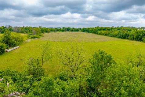 18.45 Acres Fm 1660 Taylor TX 76574