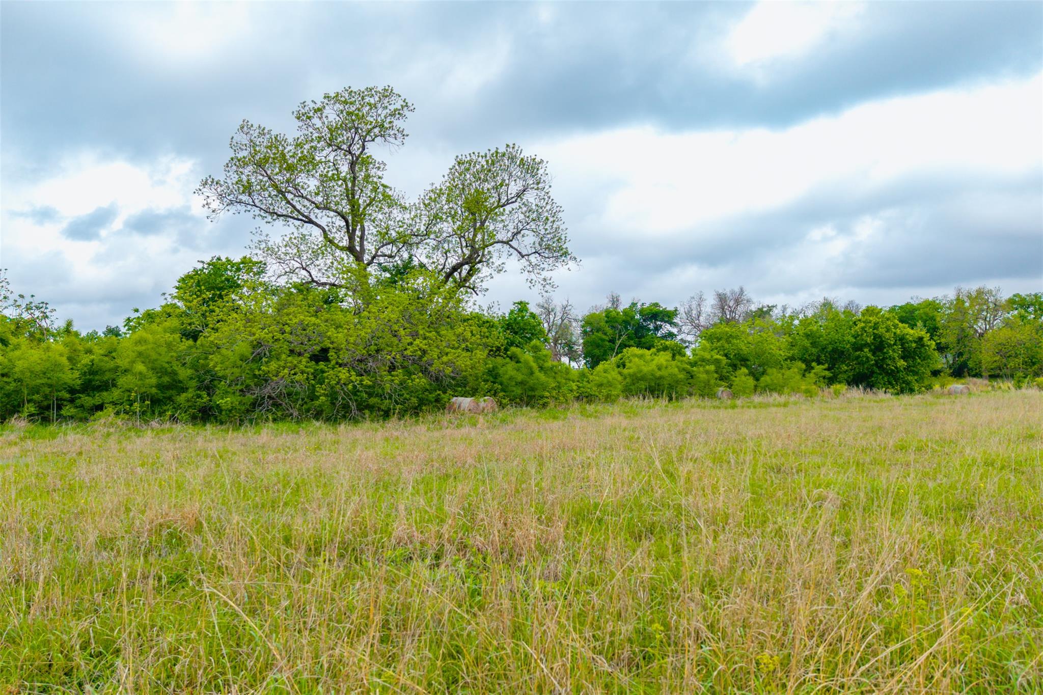 18.45 Acres Fm 1660 Taylor TX 76574