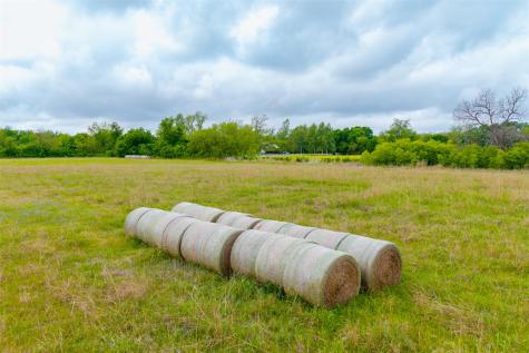 18.45 Acres Fm 1660 Taylor TX 76574