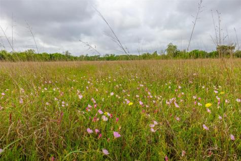 18.45 Acres Fm 1660 Taylor TX 76574