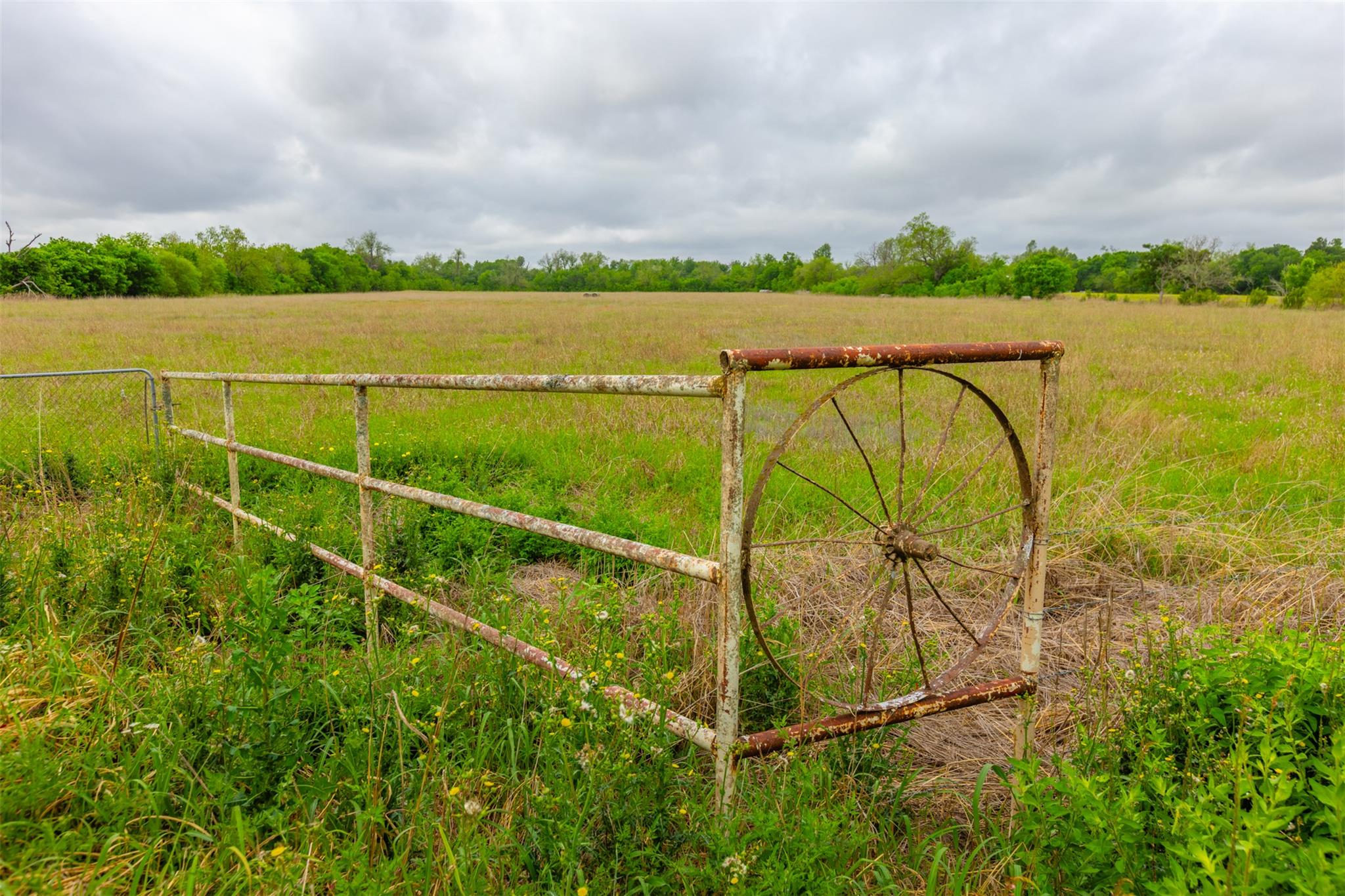 18.45 Acres Fm 1660 Taylor TX 76574