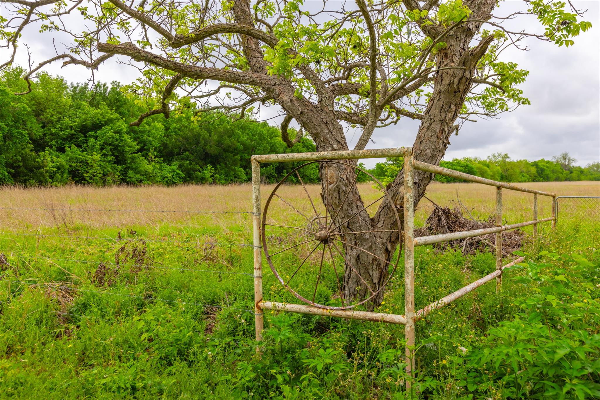 18.45 Acres Fm 1660 Taylor TX 76574