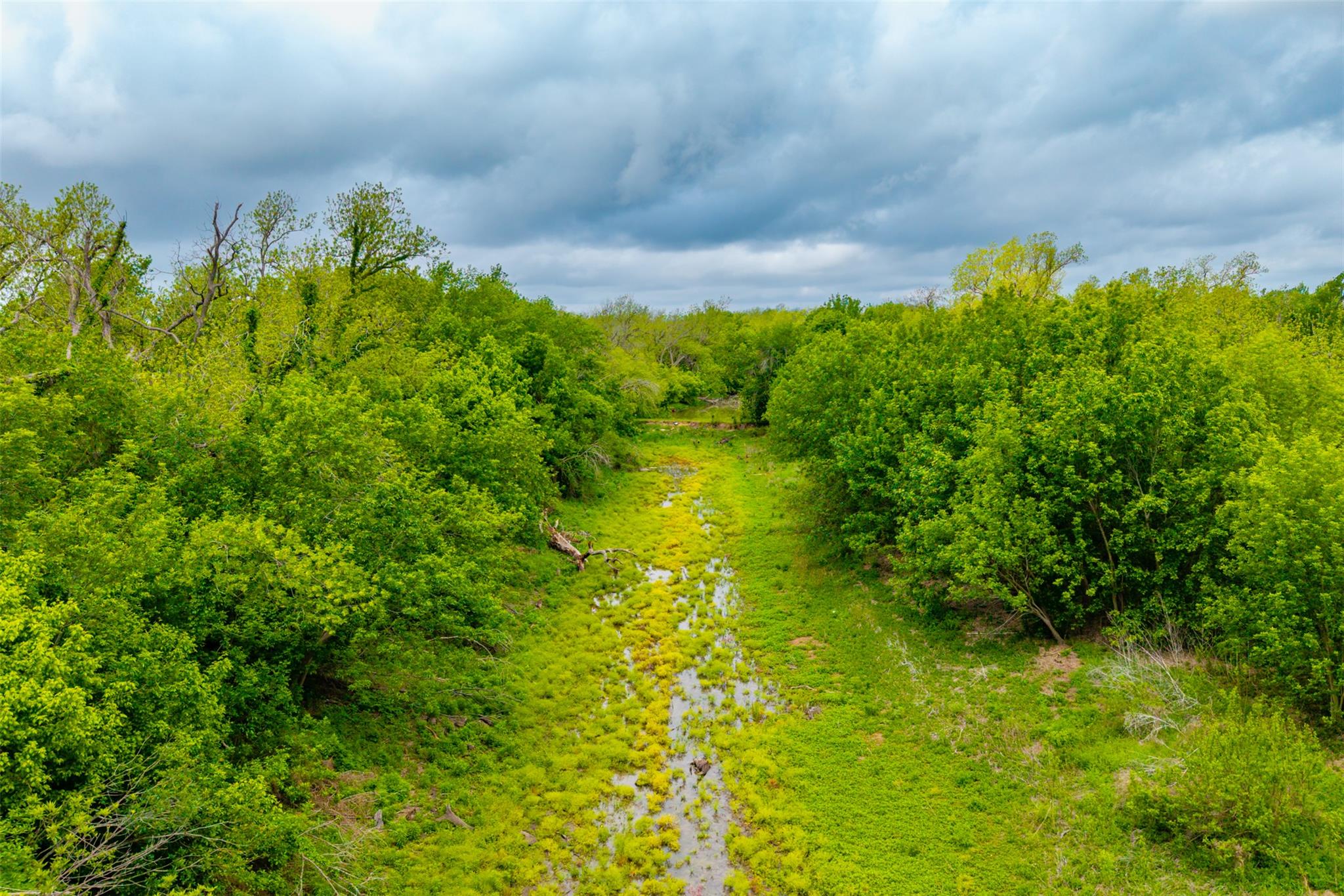 18.45 Acres Fm 1660 Taylor TX 76574