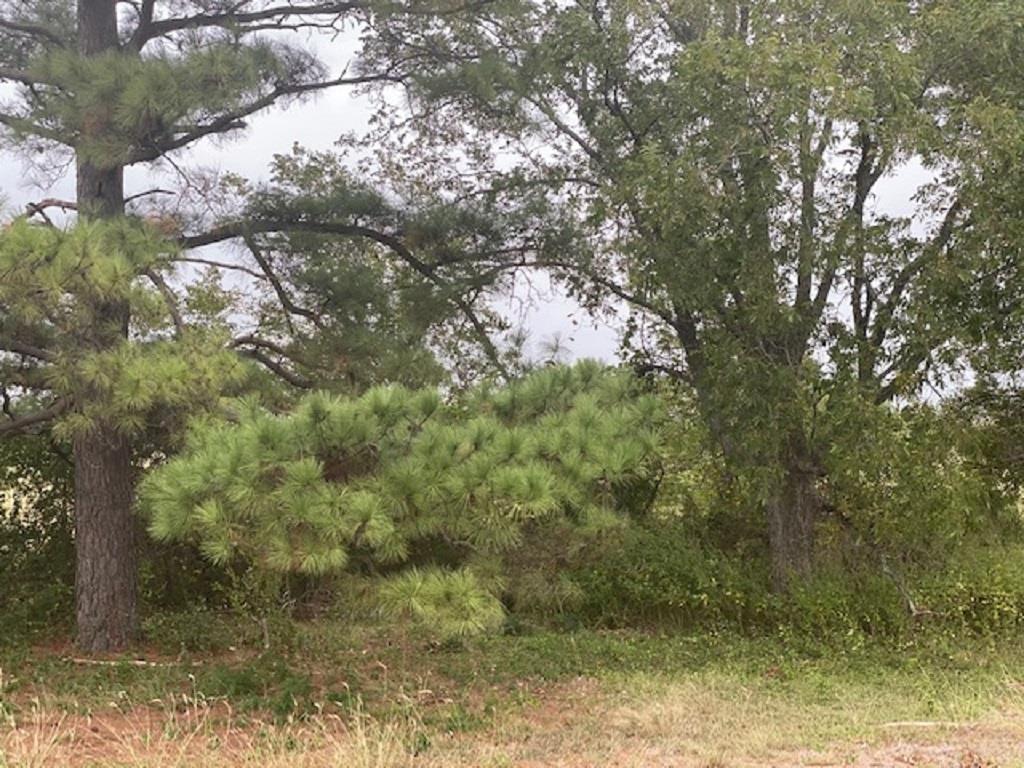 Tbd N Us Highway 77 Us-77 Street Lexington TX 78947